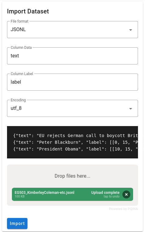 Import Dataset form, with JSONL format, one file uploaded, and an 'Import' button at the bottom.